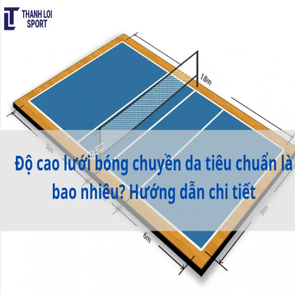 Độ cao lưới bóng chuyền da tiêu chuẩn là bao nhiêu? Hướng dẫn chi tiết
