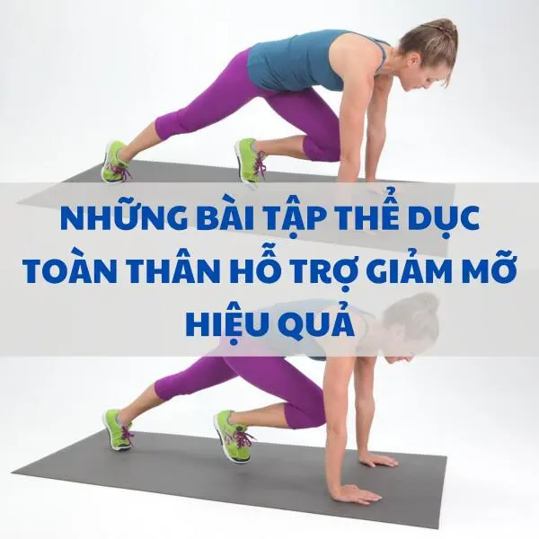 Những bài tập thể dục toàn thân hỗ trợ giảm mỡ hiệu quả