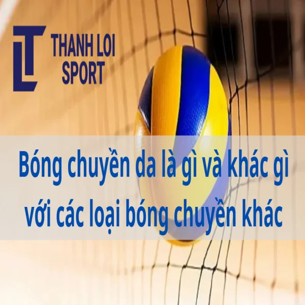Bóng chuyền da là gì và khác gì với các loại bóng chuyền khác