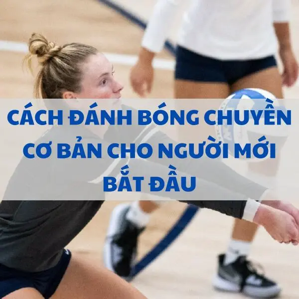 Cách đánh bóng chuyền cơ bản cho người mới bắt đầu