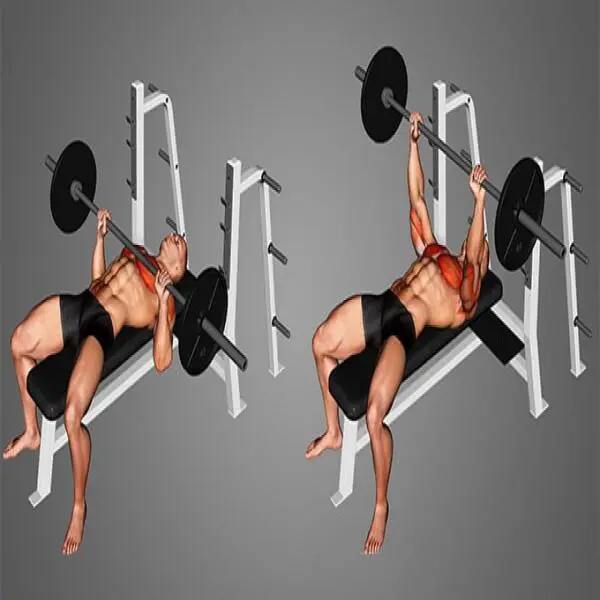 Khám Phá Các Bài Tập Với Tạ Đòn Để Tăng Cường Sức Mạnh Vượt Trội Cho Người Tập Gym