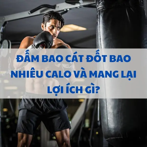 Đấm bao cát đốt bao nhiêu calo và mang lại lợi ích gì?