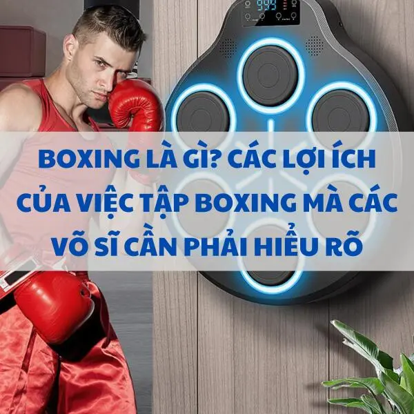 Boxing là gì? Các lợi ích của việc tập boxing mà các võ sĩ cần phải hiểu rõ