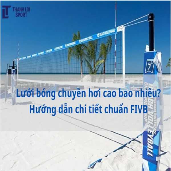 Lưới bóng chuyền hơi cao bao nhiêu? Hướng dẫn chi tiết chuẩn FIVB