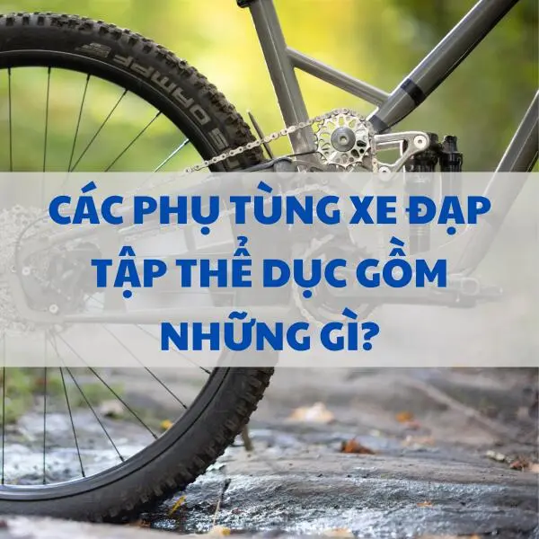 Các phụ tùng xe đạp tập thể dục gồm những gì?