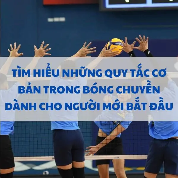 Tìm hiểu những quy tắc cơ bản trong bóng chuyền dành cho người mới bắt đầu