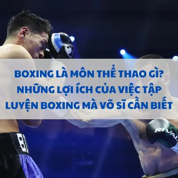 Boxing là môn thể thao gì? Những lợi ích của việc tập luyện boxing mà võ sĩ cần biết