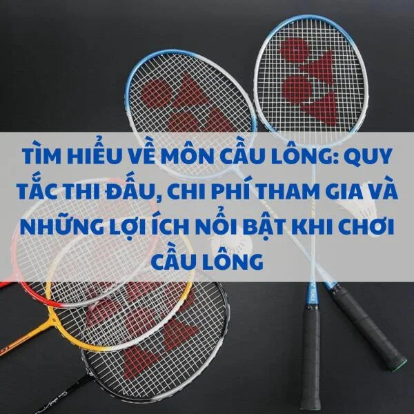 Tìm hiểu về môn cầu lông: Quy tắc thi đấu, chi phí tham gia và những lợi ích nổi bật khi chơi cầu lông