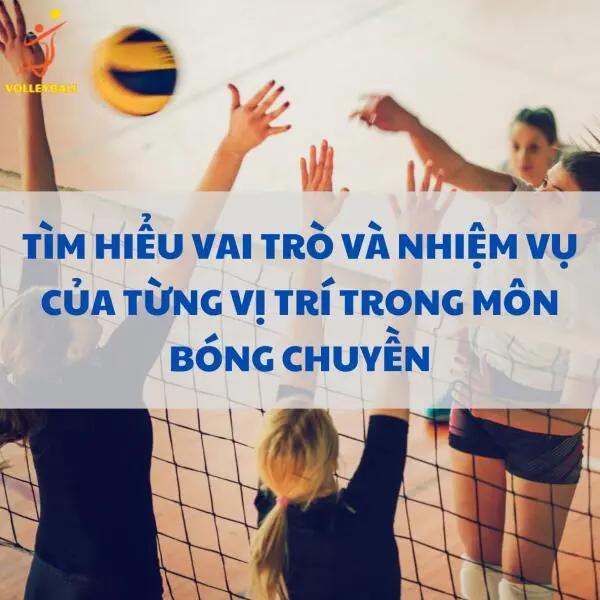 Tìm hiểu vai trò và nhiệm vụ của từng vị trí trong môn bóng chuyền