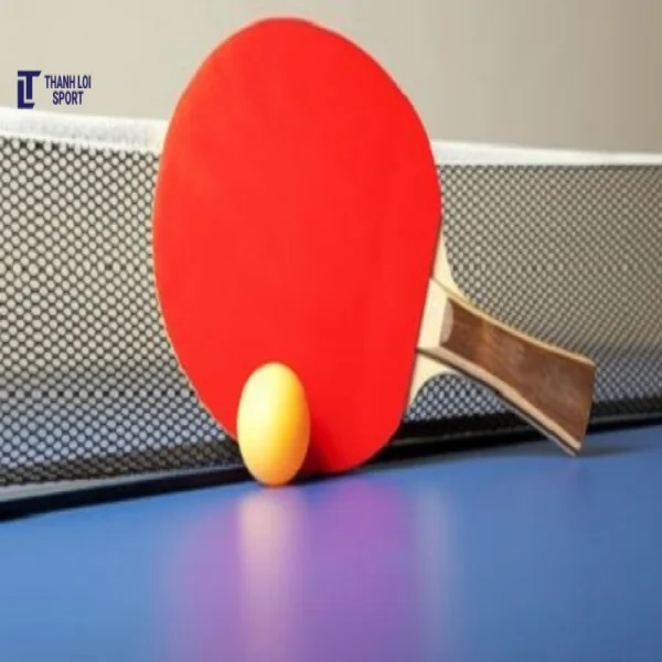 Các loại dụng cụ bóng bàn phổ biến và đáng mua cho người mới