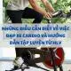 Những điều cần biết về việc đạp xe cardio và hướng dẫn tập luyện từ HLV