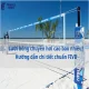 Lưới bóng chuyền hơi cao bao nhiêu? Hướng dẫn chi tiết chuẩn FIVB