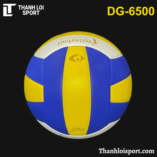 qua-bong-chuyen-da-thang-long-dg-6500-4