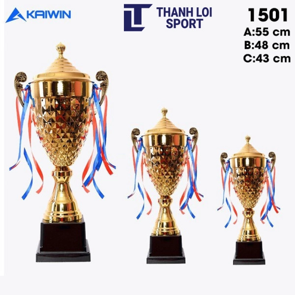 cup-kaiwin-1501