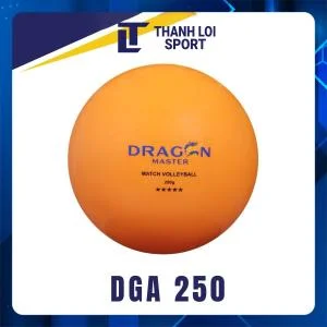 qua-bong-chuyen-hoi-thang-long-dragon-master-dga-250-1