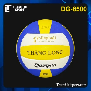 qua-bong-chuyen-da-thang-long-dg-6500-1
