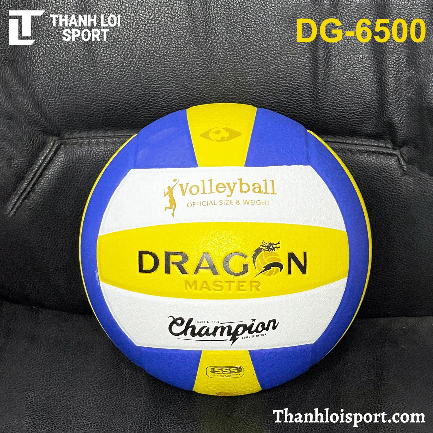 qua-bong-chuyen-da-thang-long-dg-6500-5