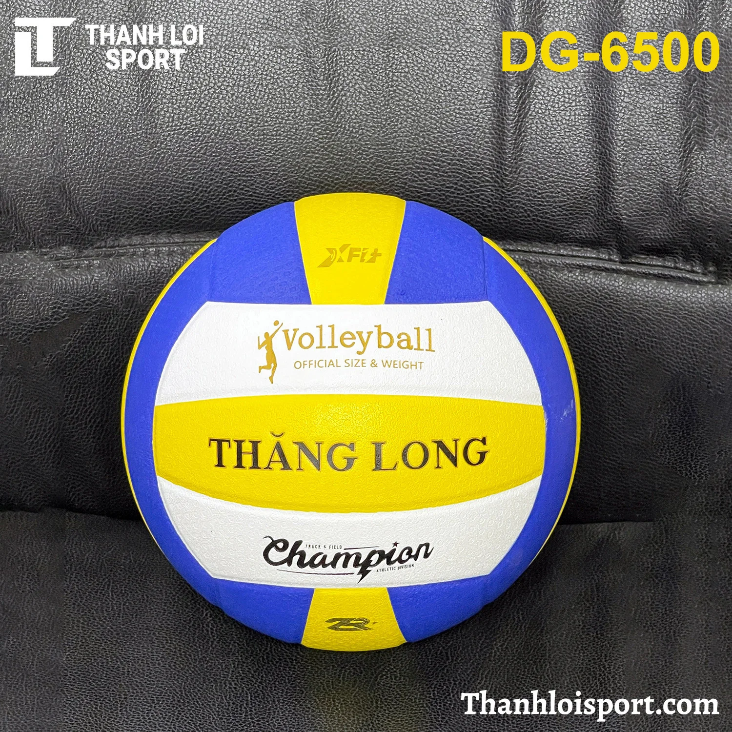 qua-bong-chuyen-da-thang-long-dg-6500-6