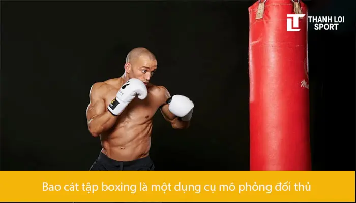 cach-chon-bao-cat-tap-boxing-4