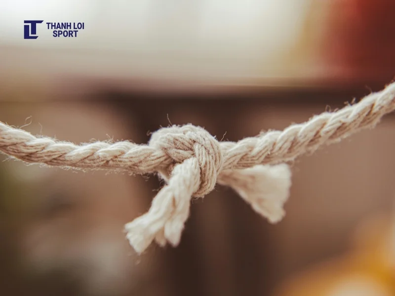 Dây thừng kéo co