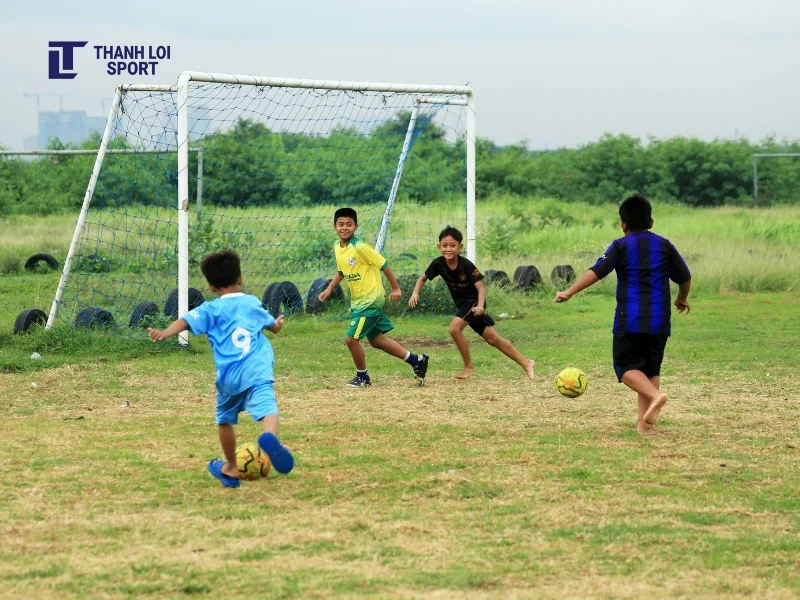 Dụng cụ và thiết bị thể thao trường học