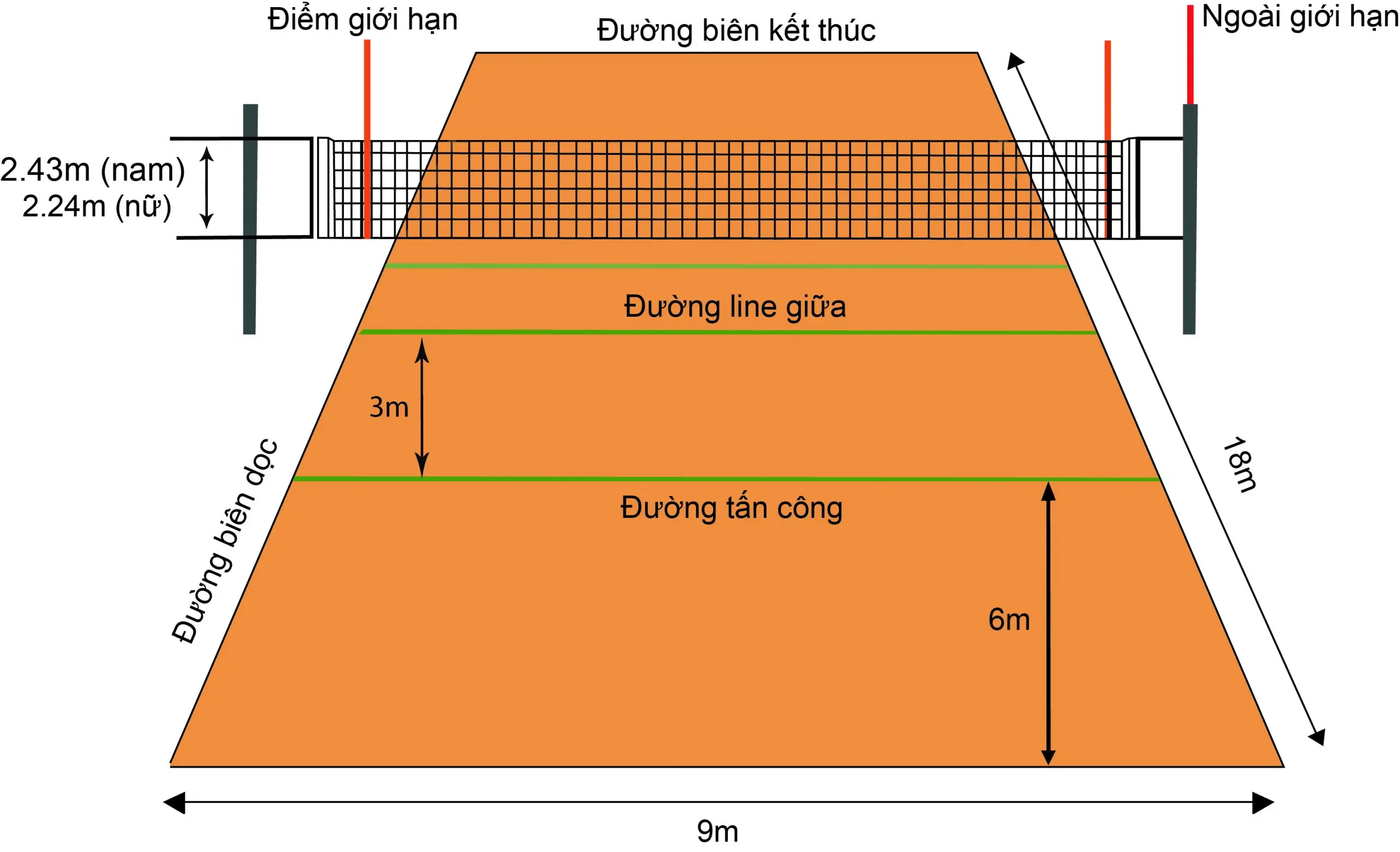 kich-thuoc-san-bong-chuyen-tieu-chuan-scaled