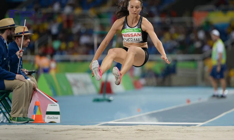 dụng cụ san cát