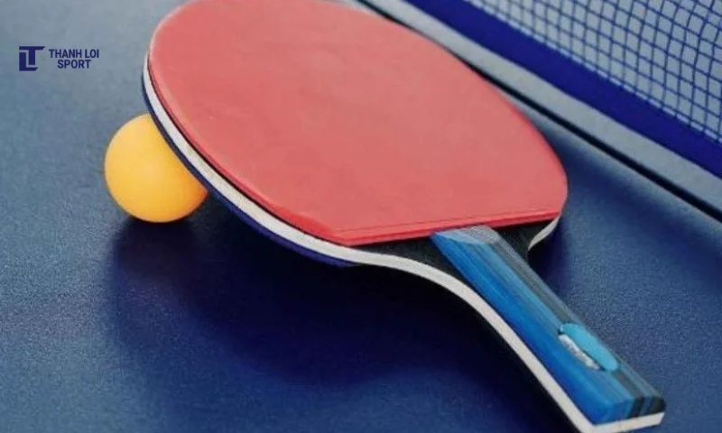 dụng cụ bóng bàn