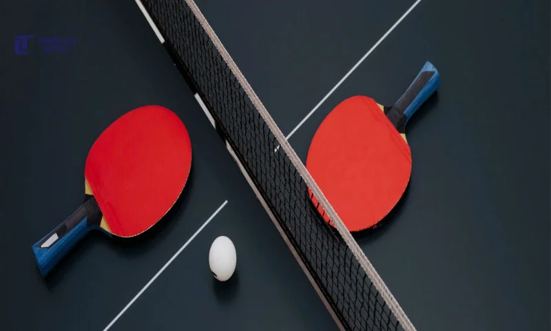 chọn vợt bóng bàn