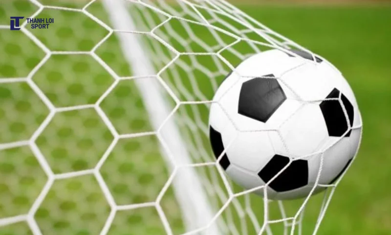 giá lưới bóng đá