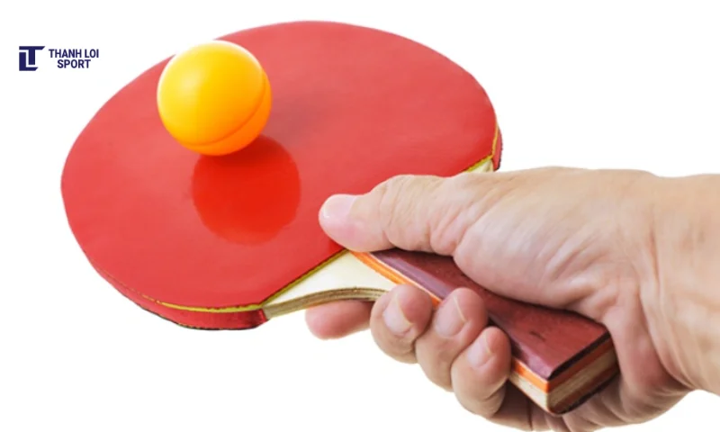 mặt vợt bóng bàn