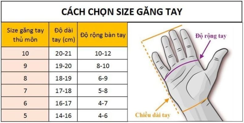 cach-chon-size-gang-tay-thu-mon-790x400
