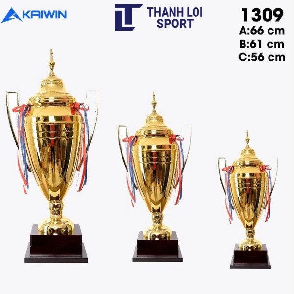 cup-kaiwin-1309